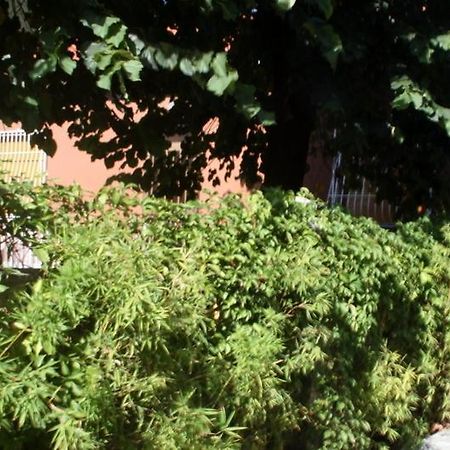 Family Inn Pero Εξωτερικό φωτογραφία